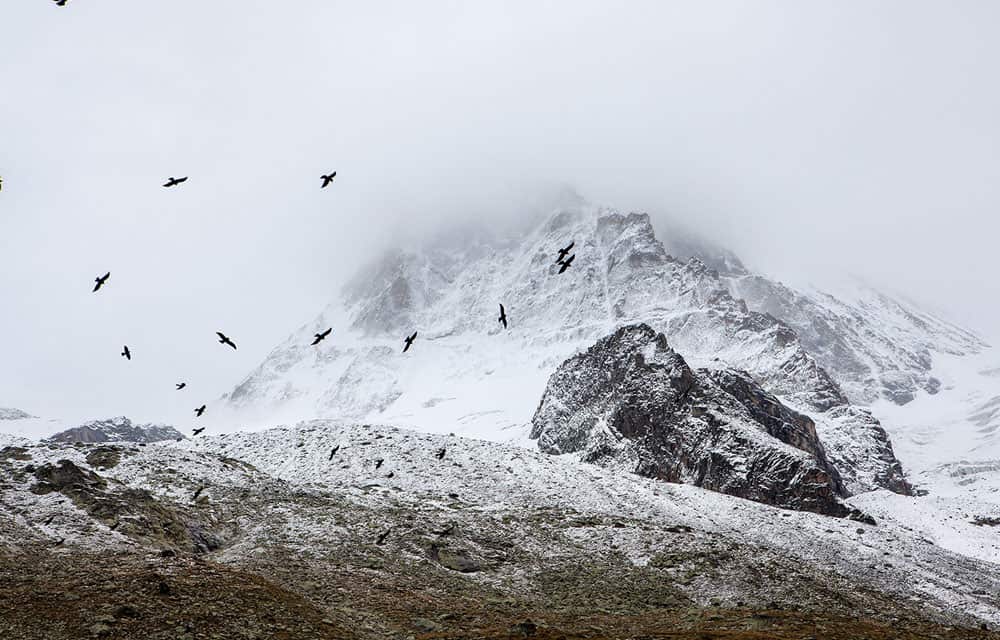 Undiscovered Scotland: My Paradise