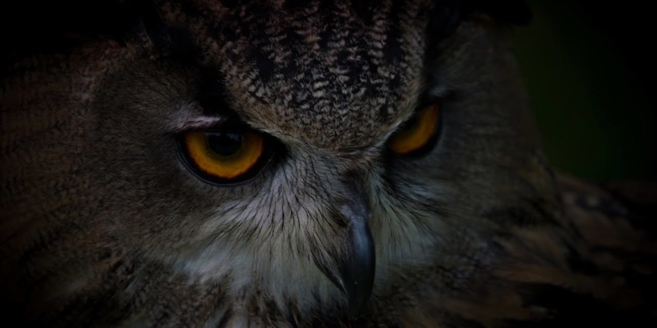 My Critics Strengthen My Resolve