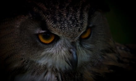 My Critics Strengthen My Resolve