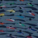 Economic Nomad: Global Citizen in Digital World