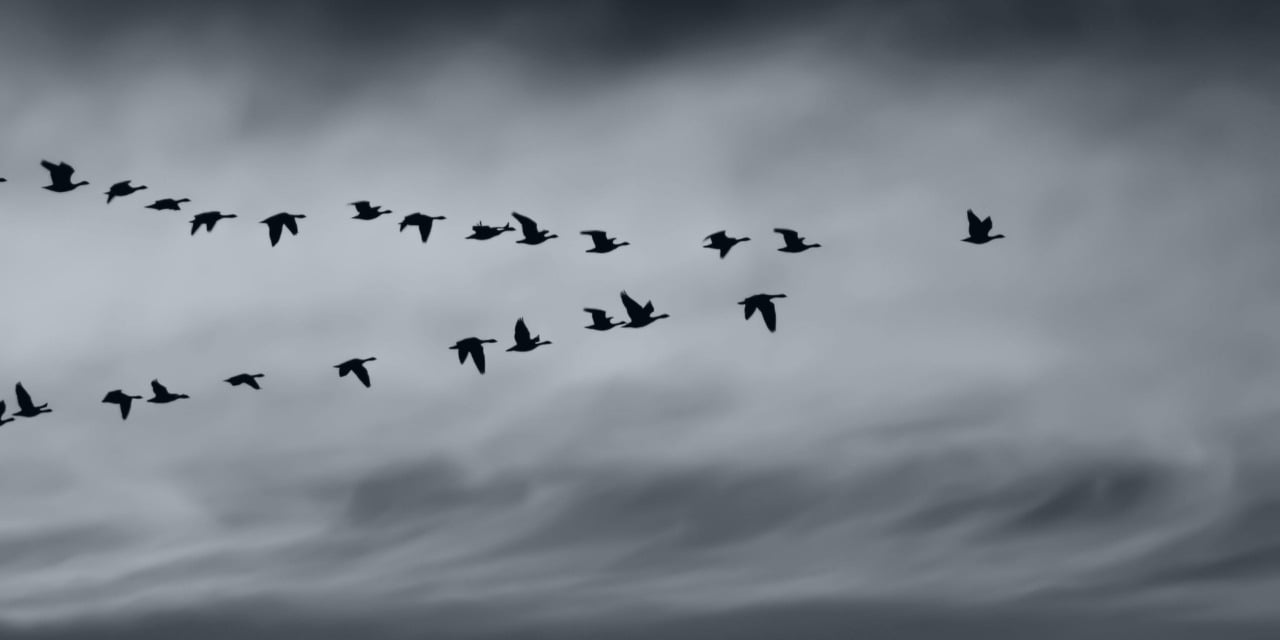 Leadership Styles: What is it to work with me.