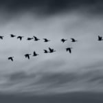 Leadership Styles: What is it to work with me.