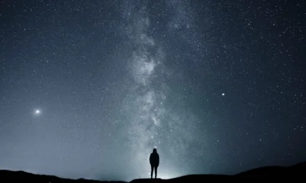 Mindfullness: Reflecting on self and present