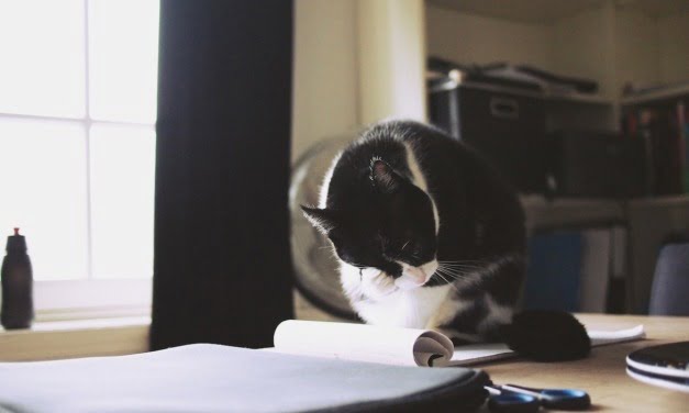 I write: As it Unfurls Before me