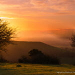 Coomb Hill, Aylesbury